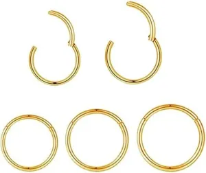 5pcs Hypoallergenic Nose Rings Hoops for Women Men 16G/18G/20G 316L Surgical Steel Hinged Clicker Segment for Nostril Septum Helix Cartilage Daith Tragus Conch Rook Lip Ear Lobe Earrings