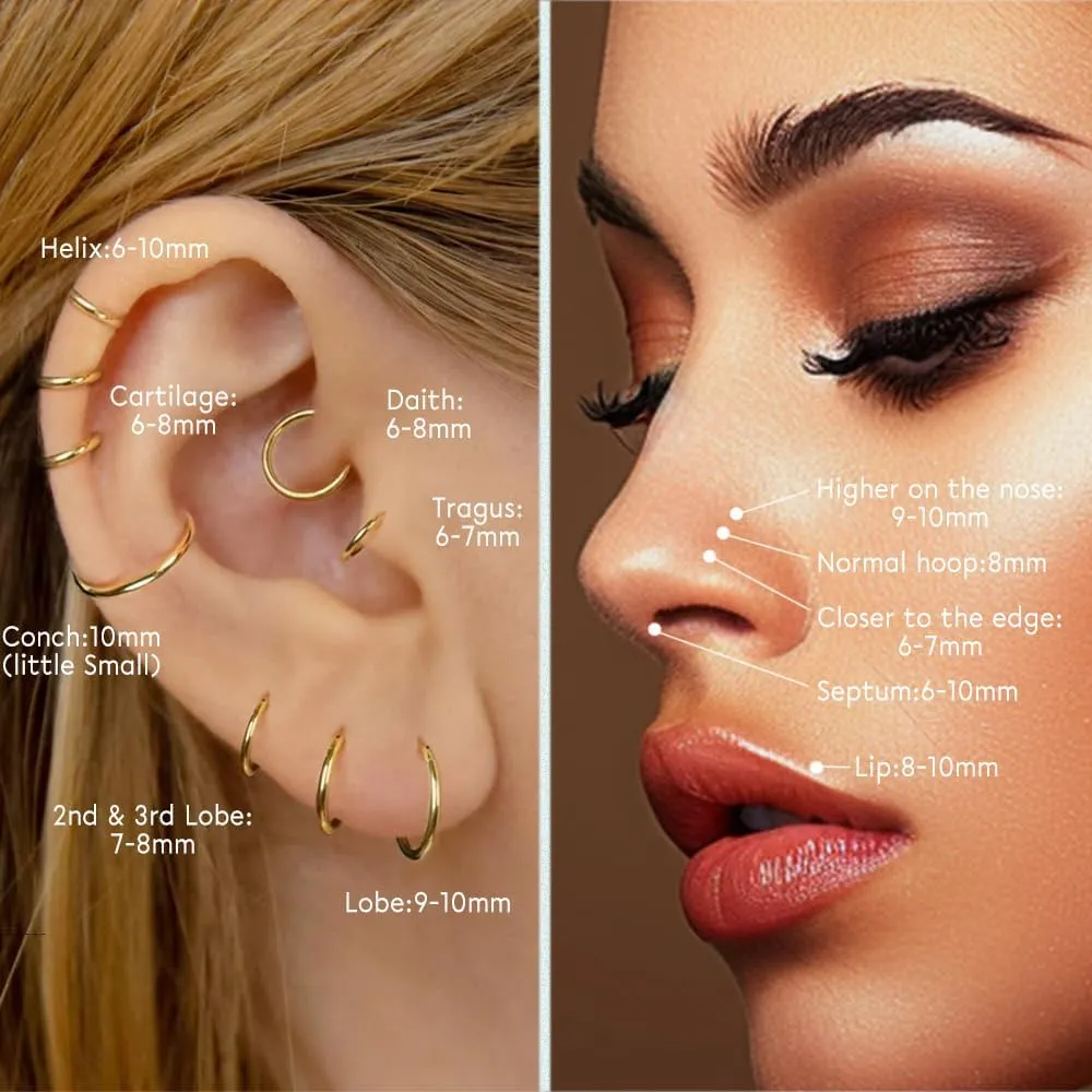 5pcs Hypoallergenic Nose Rings Hoops for Women Men 16G/18G/20G 316L Surgical Steel Hinged Clicker Segment for Nostril Septum Helix Cartilage Daith Tragus Conch Rook Lip Ear Lobe Earrings