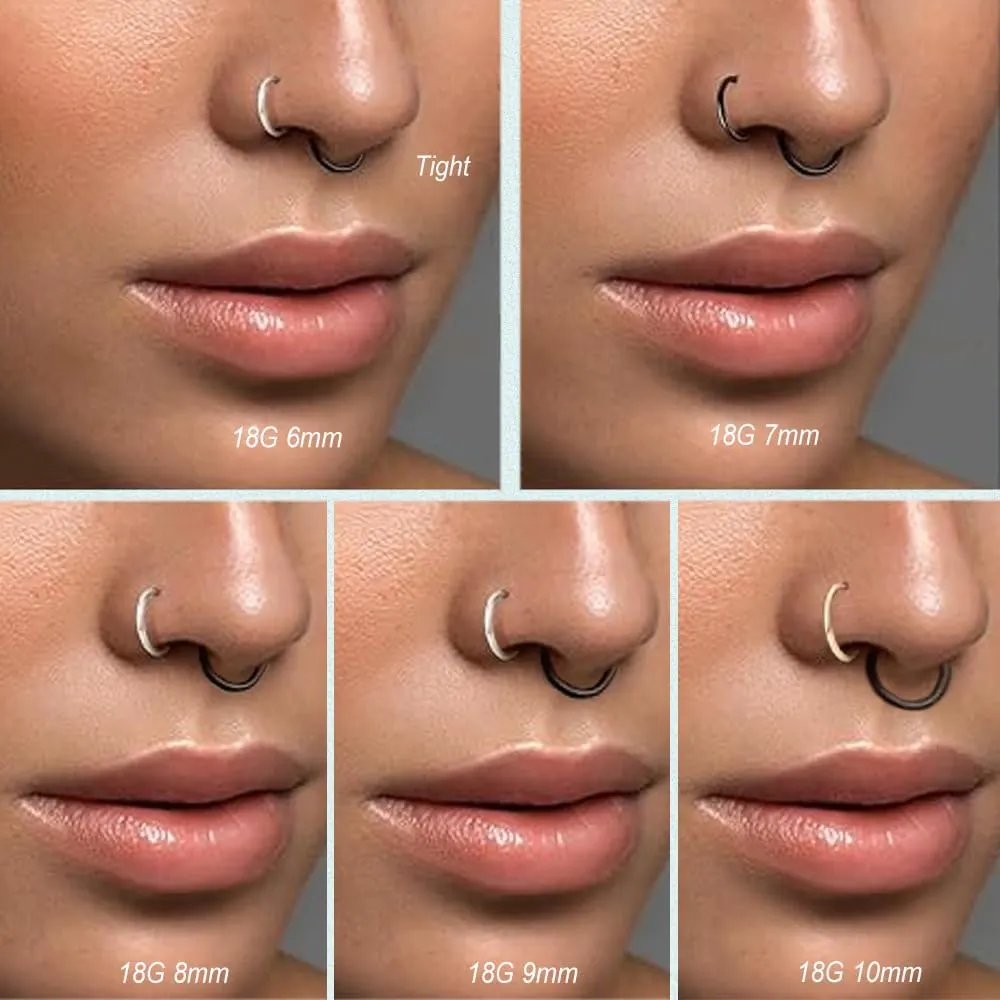 5pcs Hypoallergenic Nose Rings Hoops for Women Men 16G/18G/20G 316L Surgical Steel Hinged Clicker Segment for Nostril Septum Helix Cartilage Daith Tragus Conch Rook Lip Ear Lobe Earrings