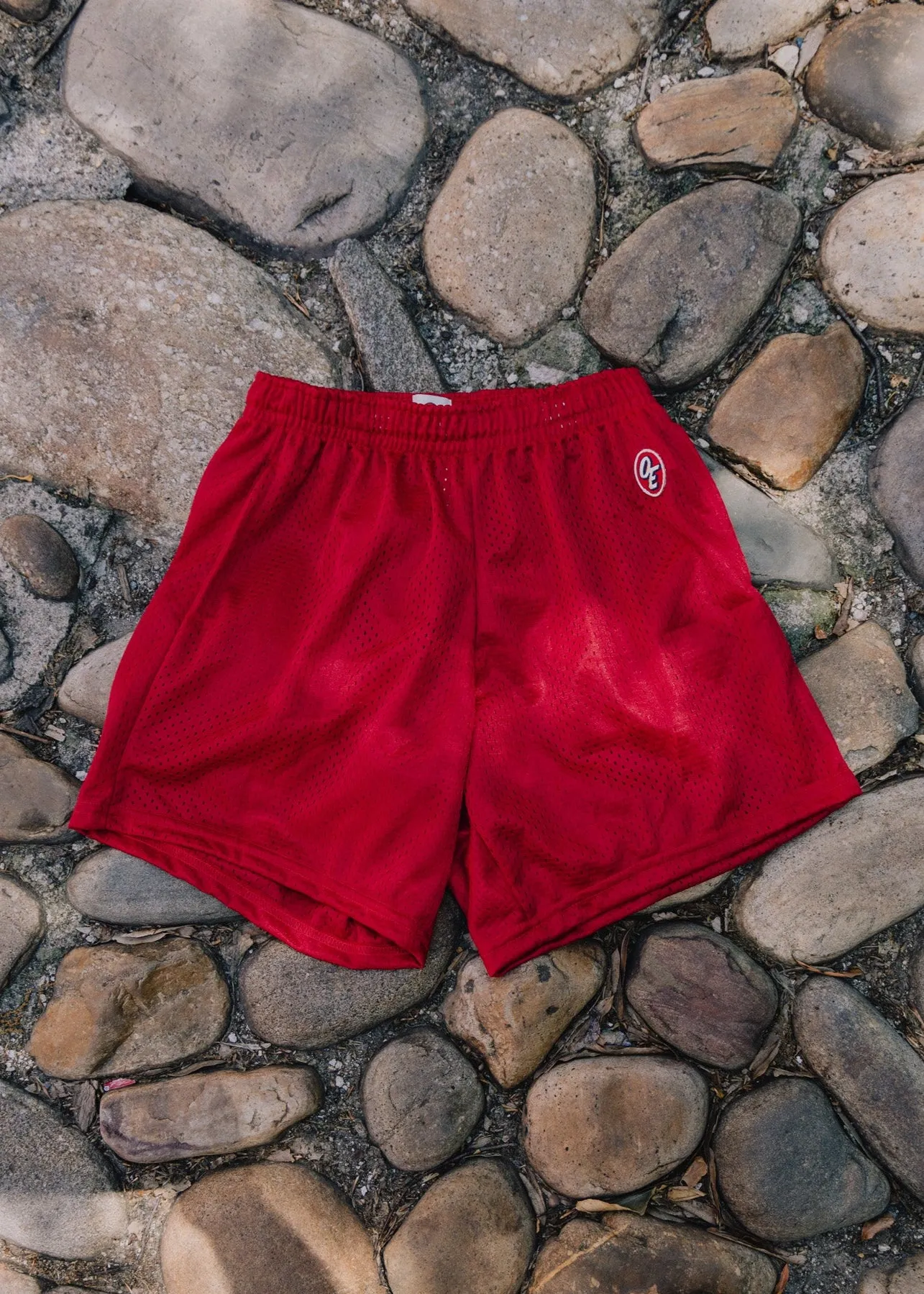 Classic Mesh Short